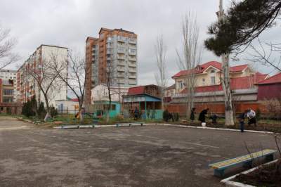 Дерево Победы