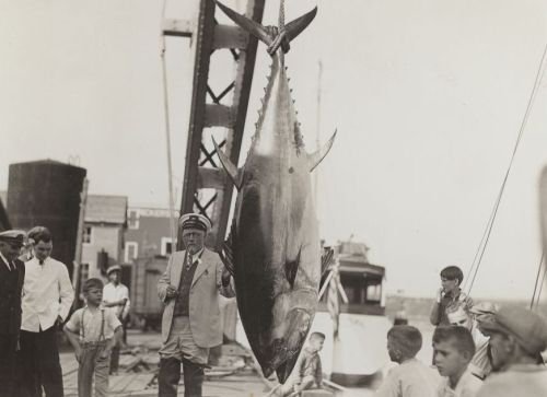 article7246.jpg