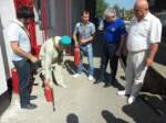 Специальное учение в АТП
