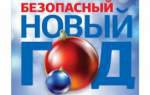 ИНСТРУКЦИЯ  о мерах пожарной безопасности при проведении                    новогодней  ёлки, новогодних и рождественских  праздников