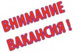 Новые сведения о потребности в работниках, наличии свободных рабочих мест (вакантных должностей)