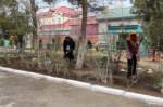 Дерево Победы