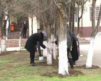 В ЦСПСД прошла экологическая акция "Посади дерево Победы"