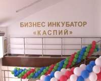 На базе промышленного комплекса "Кристалл-Сити" начал функционировать бизнес-инкубатор для начинающих предпринимателей.