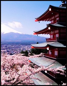 50 интересных фактов о Японии