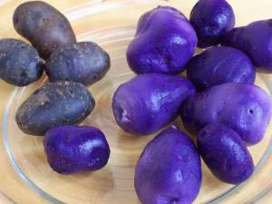 13 фактов о картошке