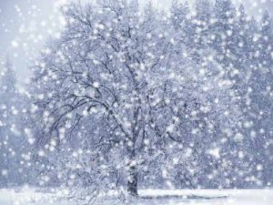 10 фактов о снеге