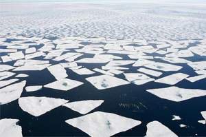 Арктика распрощается с ледяным покровом к 2019-ому?