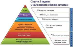 Как эффективно учиться?