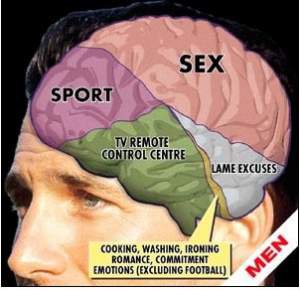 20 отличий мозга мужчин от мозга женщин
